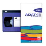 alesis adat cinta